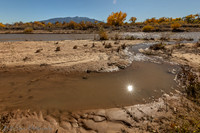 Albuquerque Bosque Rio Grande November 7, 2025