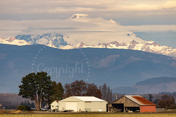 Mt Baker