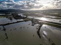 Snohomish Valley Floods December 17, 2025