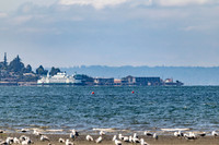 Everett and Jetty Island July 24, 2026