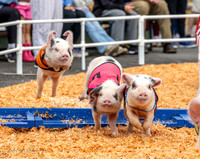 Evergreen State Fair August 29, 2026