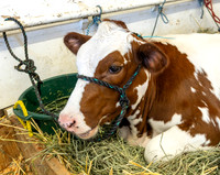 Evergreen State Fair August 31, 2026
