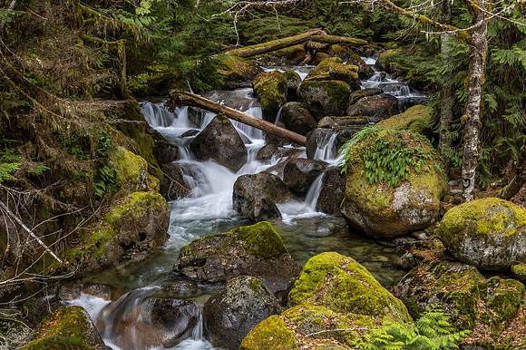 Tye Creek Waterfall - Iron Goat Trail Washington