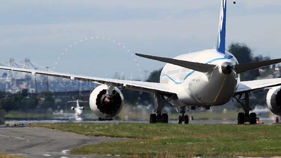 Boeing 787 Dreamliner Boeing Field Seattle
