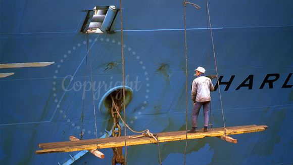 Charlotte Maersk Paint Hong Kong