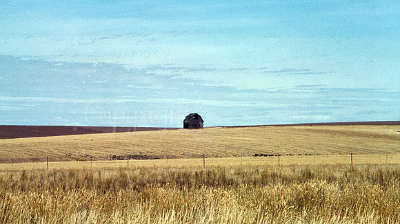 Barn in Field Watercolor Montana