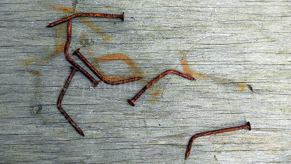 Rusting Nails on Board Snohomish Washington