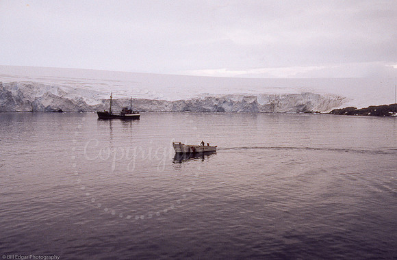 Antarctica