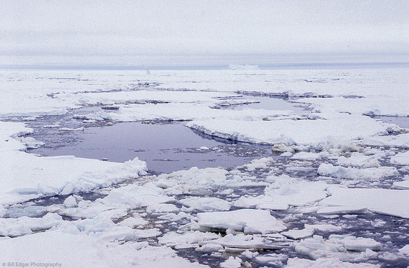 Antarctica