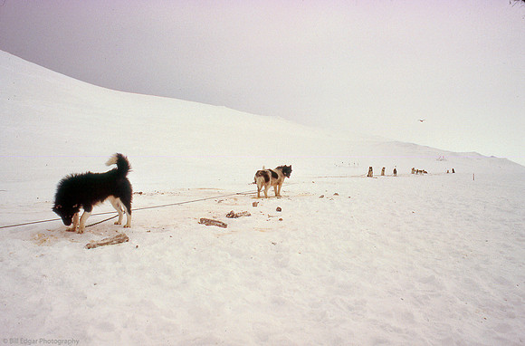 Antarctica
