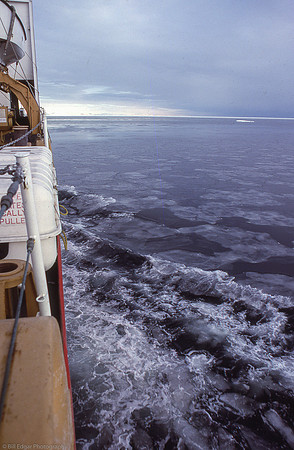 Antarctica