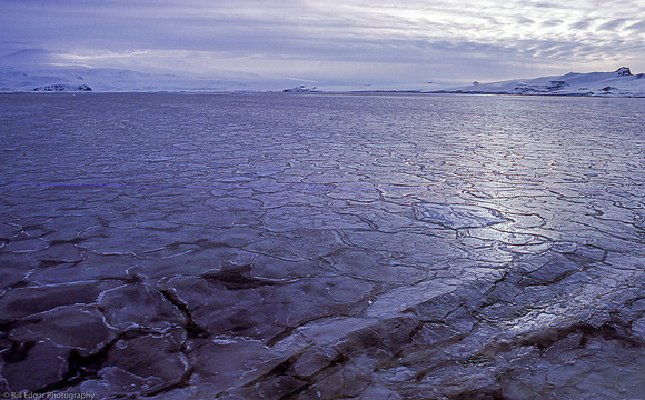 Antarctica