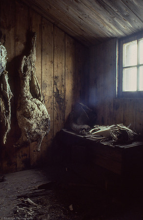 Antarctica Scott Hut