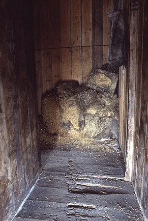 Antarctica Scott Hut