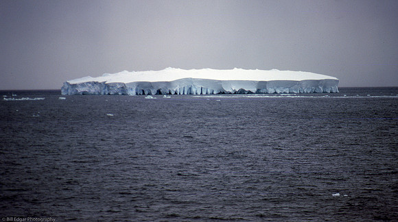 Antarctica