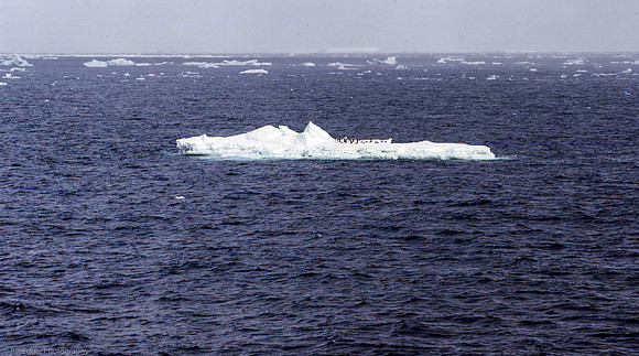 Antarctica
