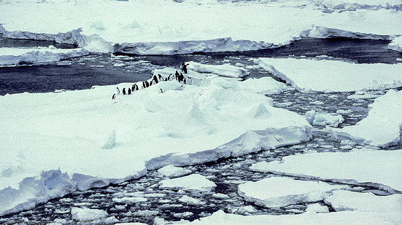 Antarctica
