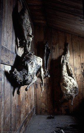 Antarctica Scott Hut