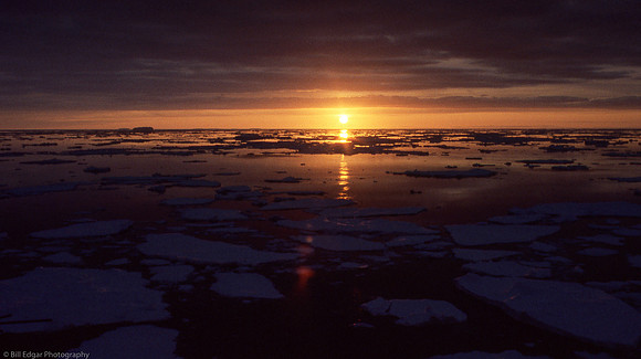 Antarctica