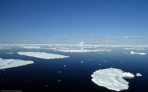 Antarctica