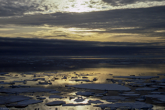 Antarctica