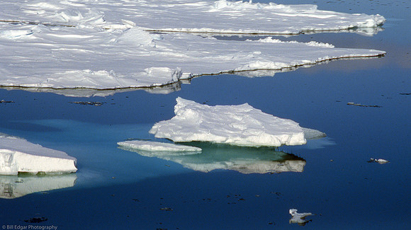 Antarctica