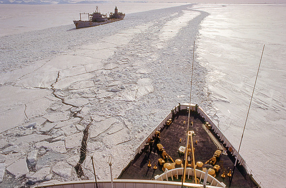 Antarctica