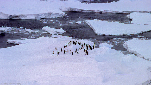 Antarctica