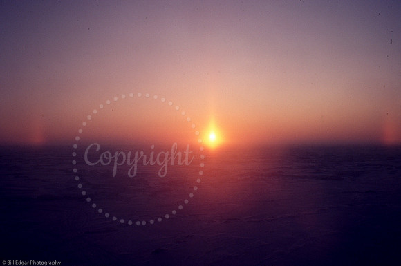 Arctic