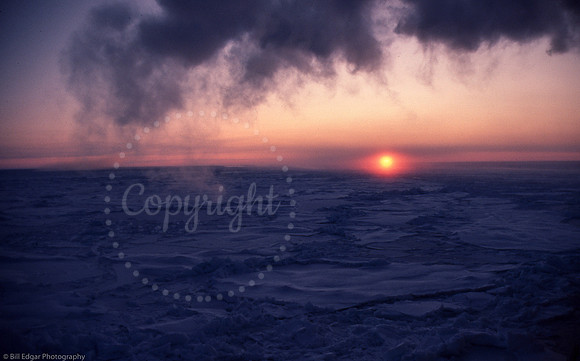 Arctic