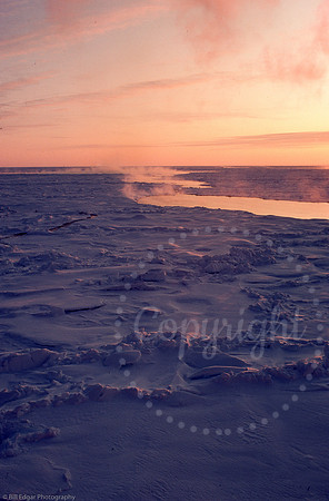 Arctic