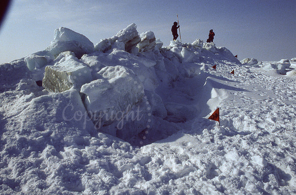 Arctic