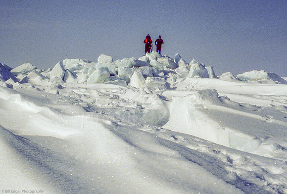 Arctic