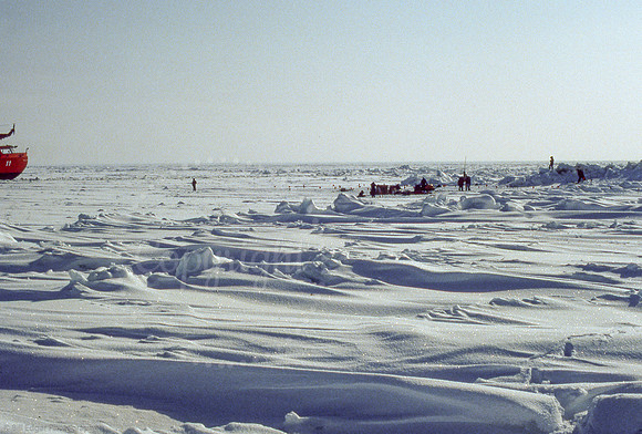 Arctic