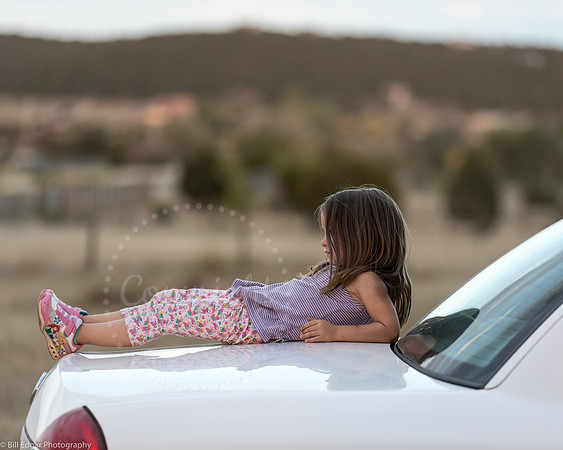 New Mexico Life