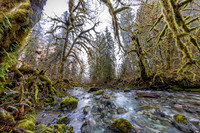 Darrington-Mountain Loop Highway December 23, 2023