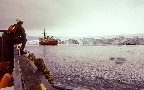 Antarctica