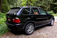 Dog Ethan BMW X5