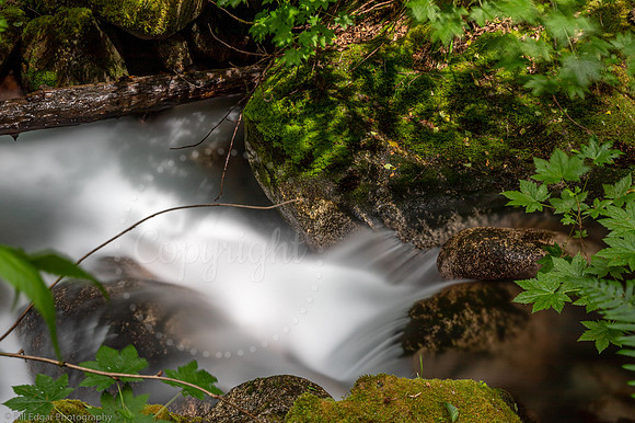 Beckler River Cascades Washington