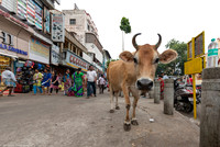 Chennai India June 26, 2019