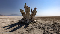 Antelope Island September 17, 2021