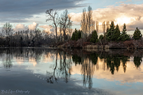 Snohomish River Reflections