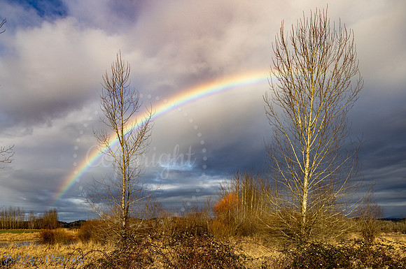 Rainbow over Snohomish, Washington