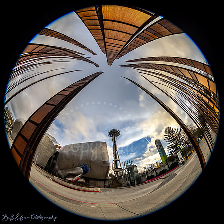 Seattle Center through a fisheye